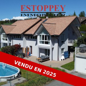 Villa mitoyenne de 6.5 pièces avec parcelle de 3500 m2
