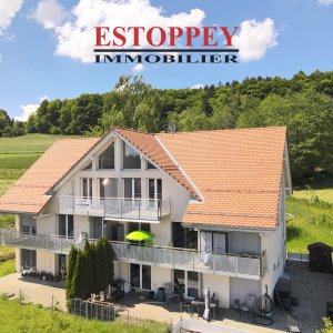 Appartement de 4.5 pièces  avec mezzanine de 15 m2