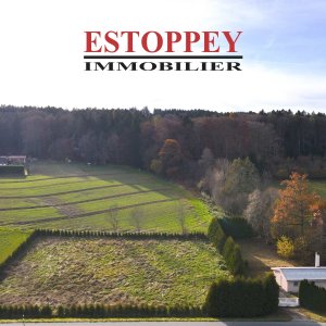 Villa individuelle de 3.5 pièces avec terrain de 3'405 m2 en zone intermédiaire