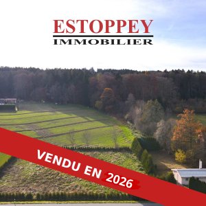 Villa individuelle de 3.5 pièces avec terrain de 3'405 m2 en zone intermédiaire