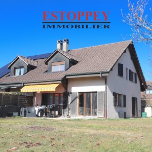 Villa mitoyenne de 5.5 pièces