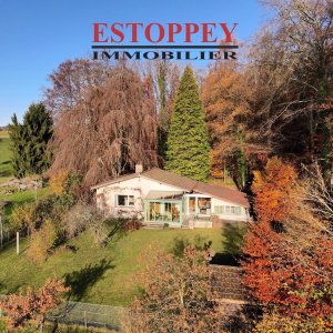 Villa individuelle de 4 pièces en pleine nature